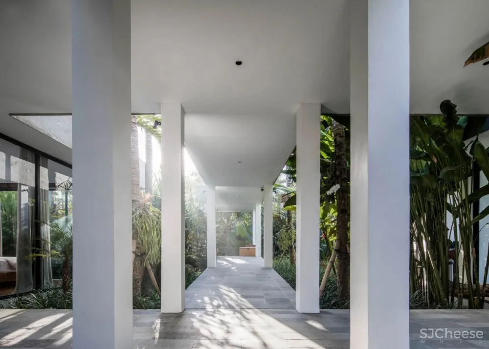 Alexis Dornier 隐匿于绿植之中 Flora住宅