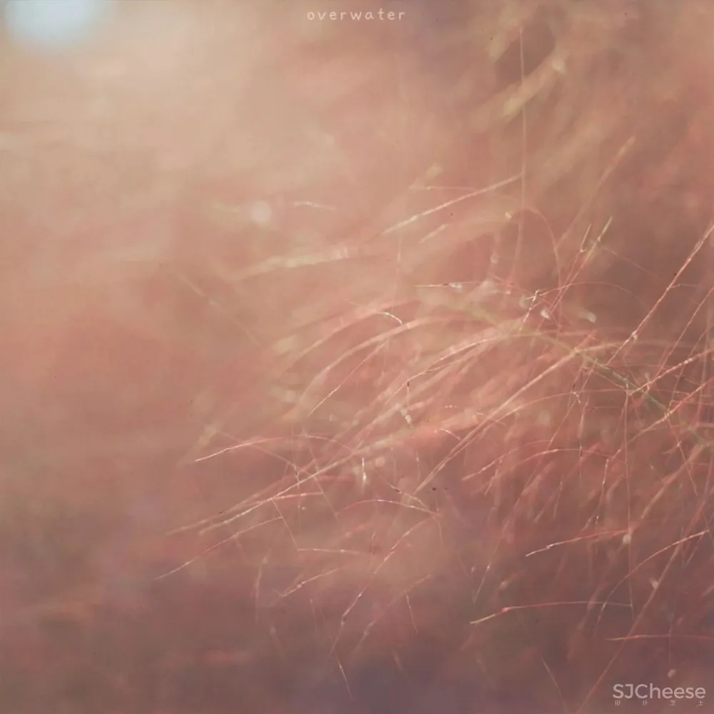 大东海新天地国际华府型样板房 眼色 库玛