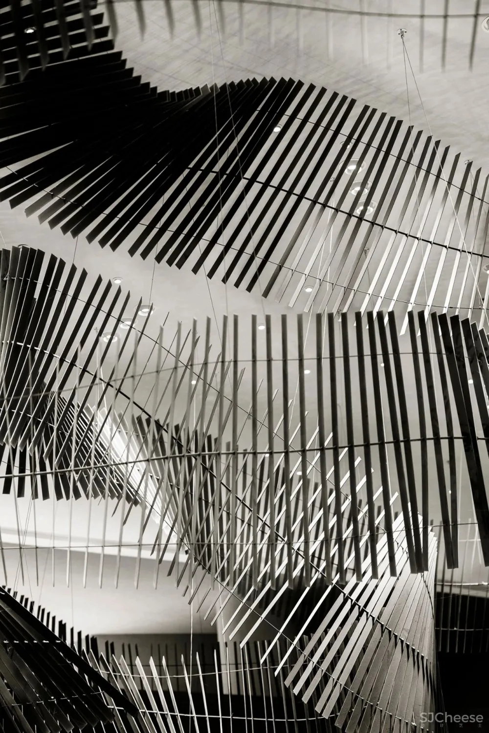 筑巢引凤丨SNP 尚诺柏纳