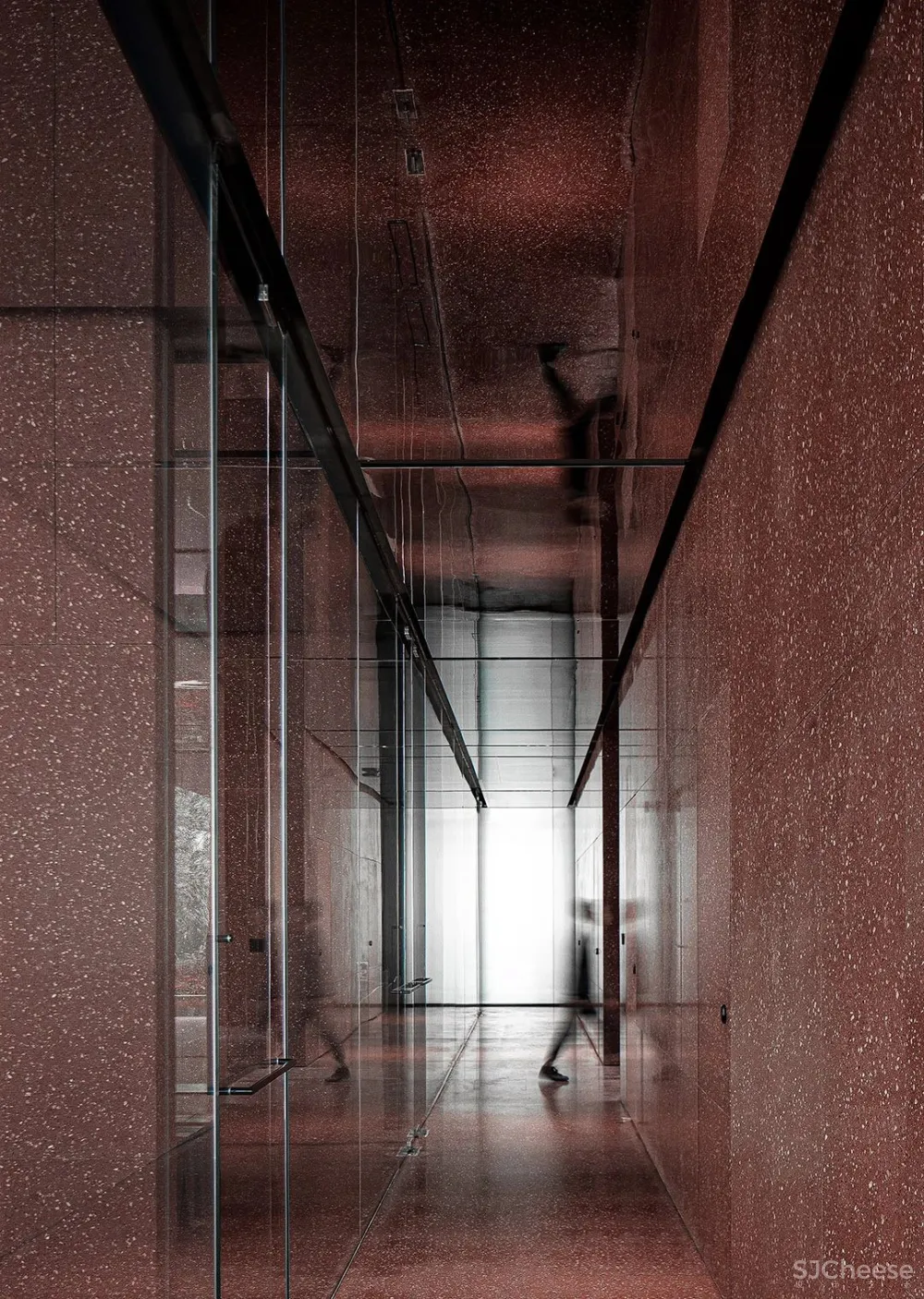 DOMANI 东 仓 牛 顿 与 月 亮