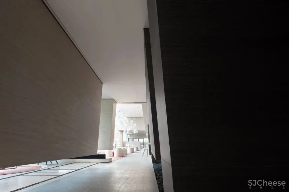 共生形态 星辰与蜉蝣