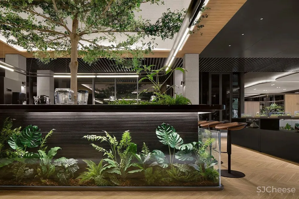 峻佳 杭州万科开了家超仙的雨林餐厅，成新晋网红地 ！