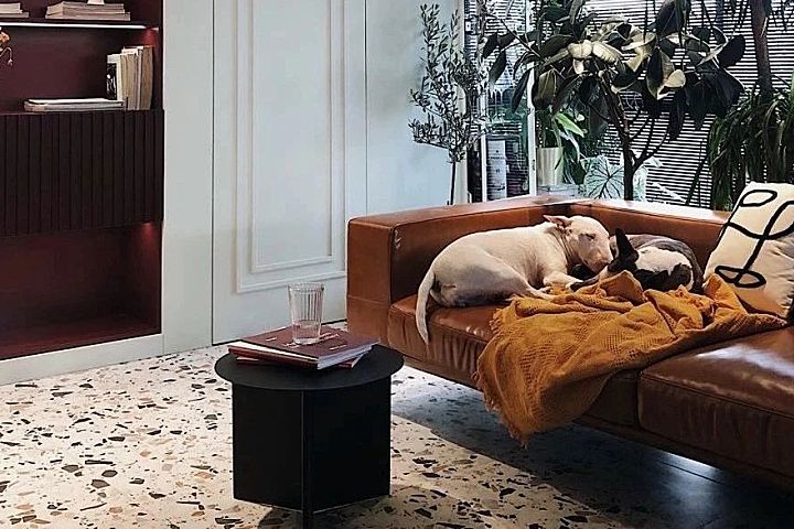 80后丁克夫妻的100㎡两室，颜值美炸！花砖、绿植，住-租一体，还有两狗子……