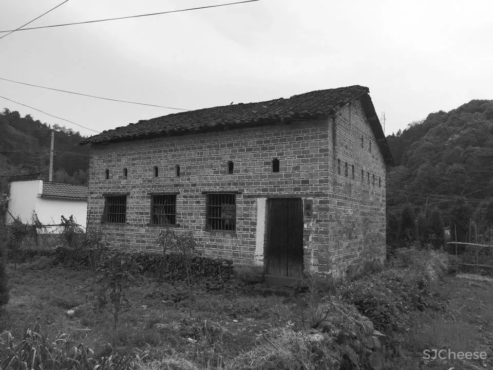 马岛八大作品盘点“我们自己的文化才是面向未来的”