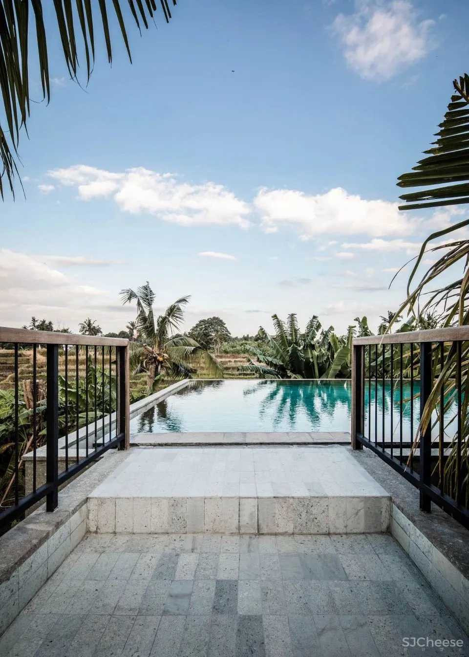 Alexis Dornier 隐匿于绿植之中 Flora住宅