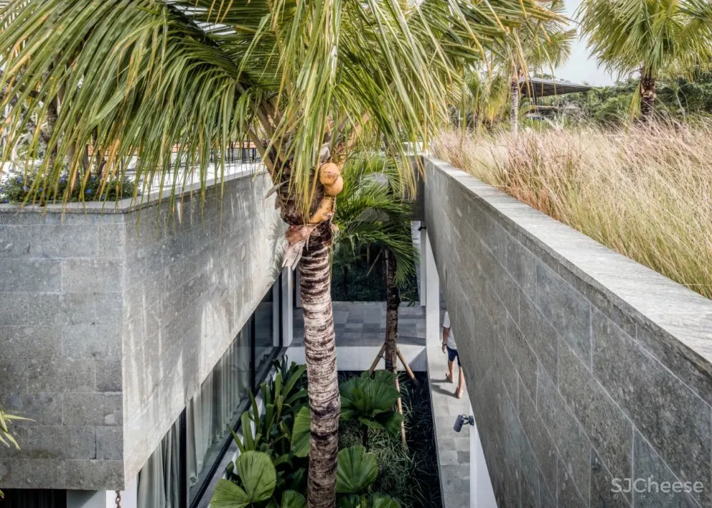 Alexis Dornier 隐匿于绿植之中 Flora住宅