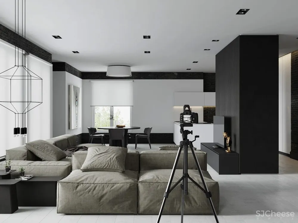 黑白色系的客厅，气质凸显 !