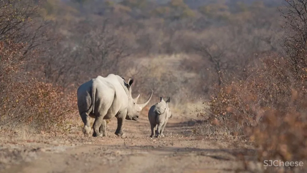 上榜孤独星球「2021最佳住宿地」,原来这里才是野奢度假首选!