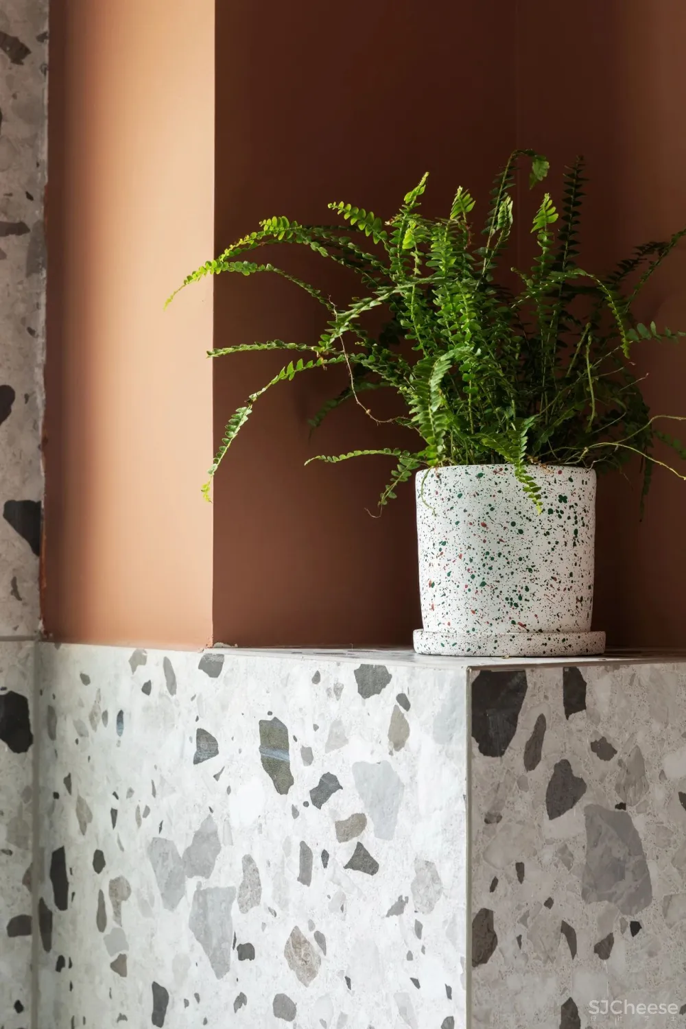 从事苗圃经营的姑娘,买下自带花园大别墅,把321m²搞成让人羡慕的植物园!