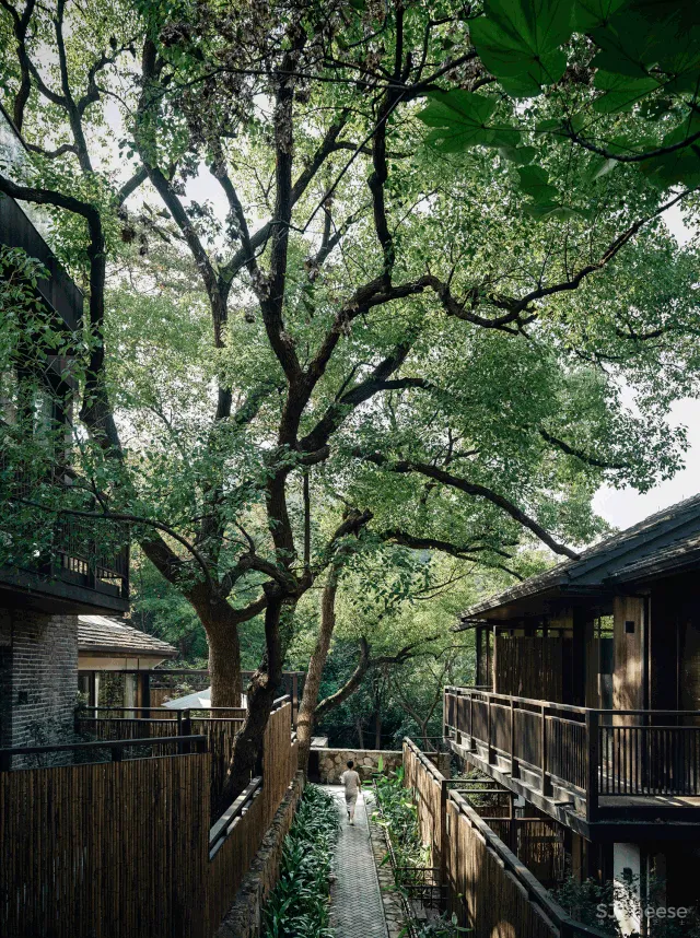 谢柯新作 杭州夕上·虎跑1934酒店—将山光树影嵌在岁月里