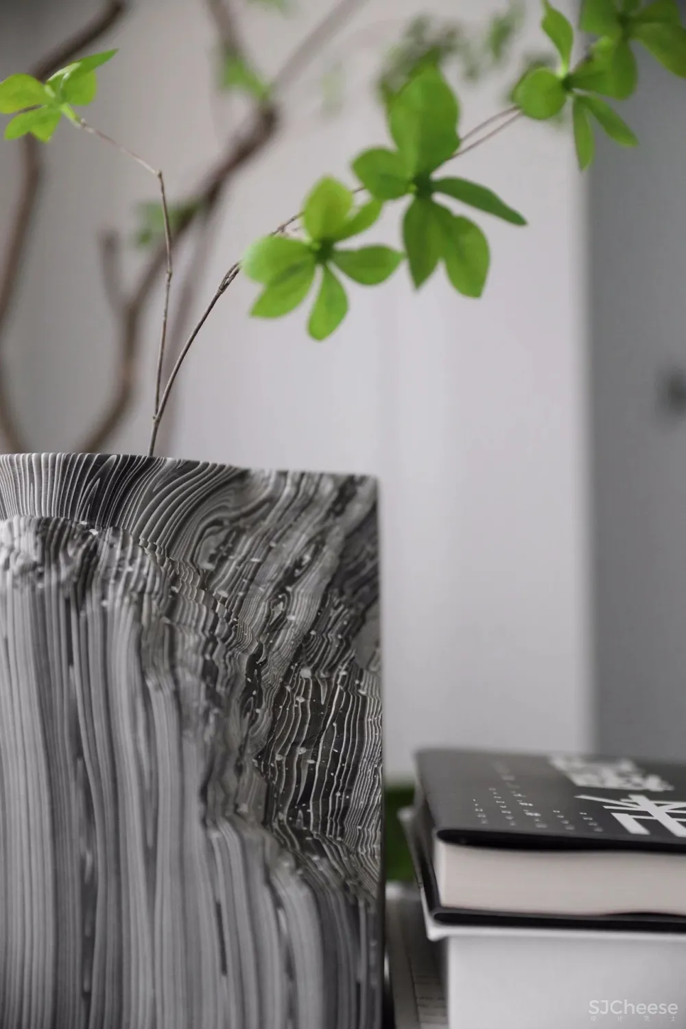 一个高品质的多功能美学空间