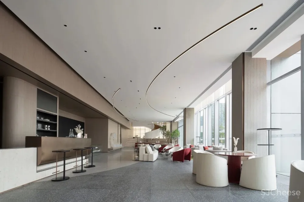 共生形态 星辰与蜉蝣