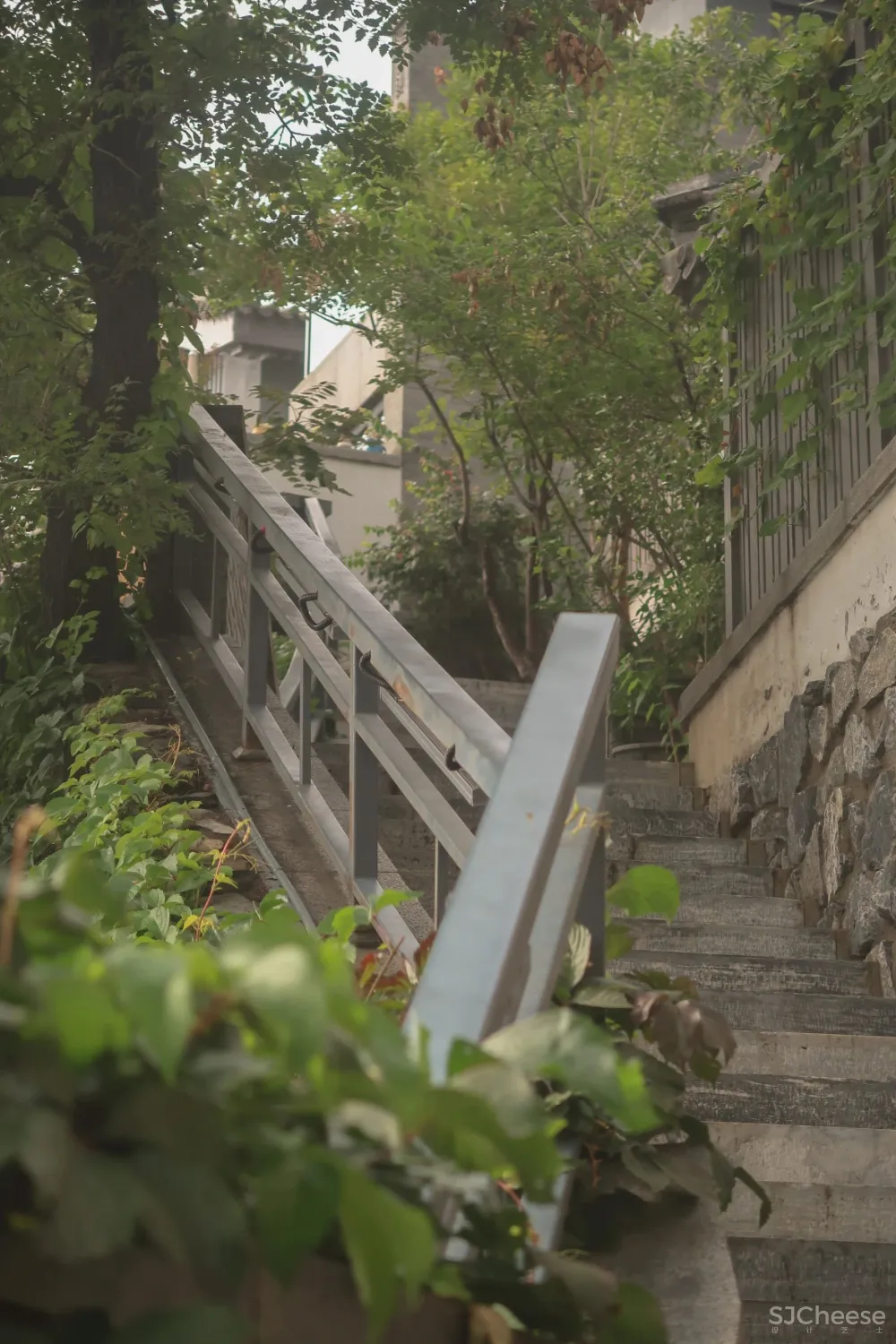 想提前感受退休生活?去“云浮半山”