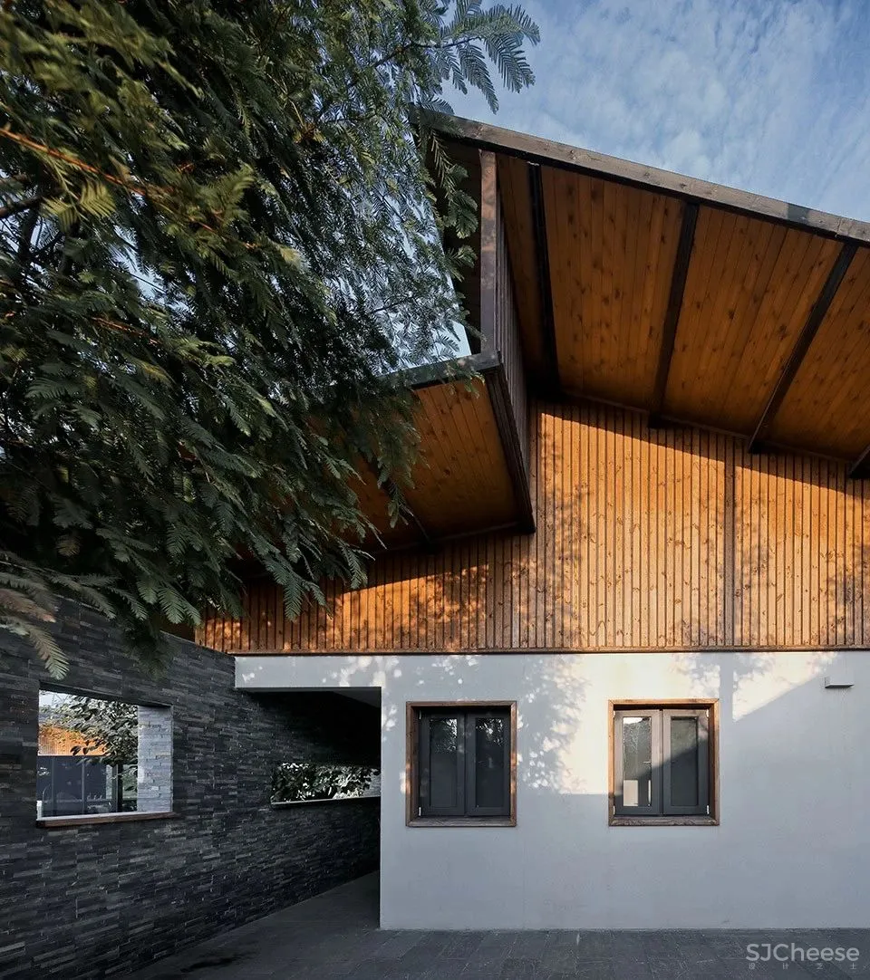 马岛八大作品盘点“我们自己的文化才是面向未来的”