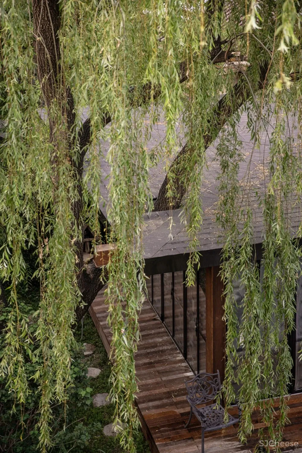 欢聚或独处,都被温柔包裹着| 军哥和芳姐自宅