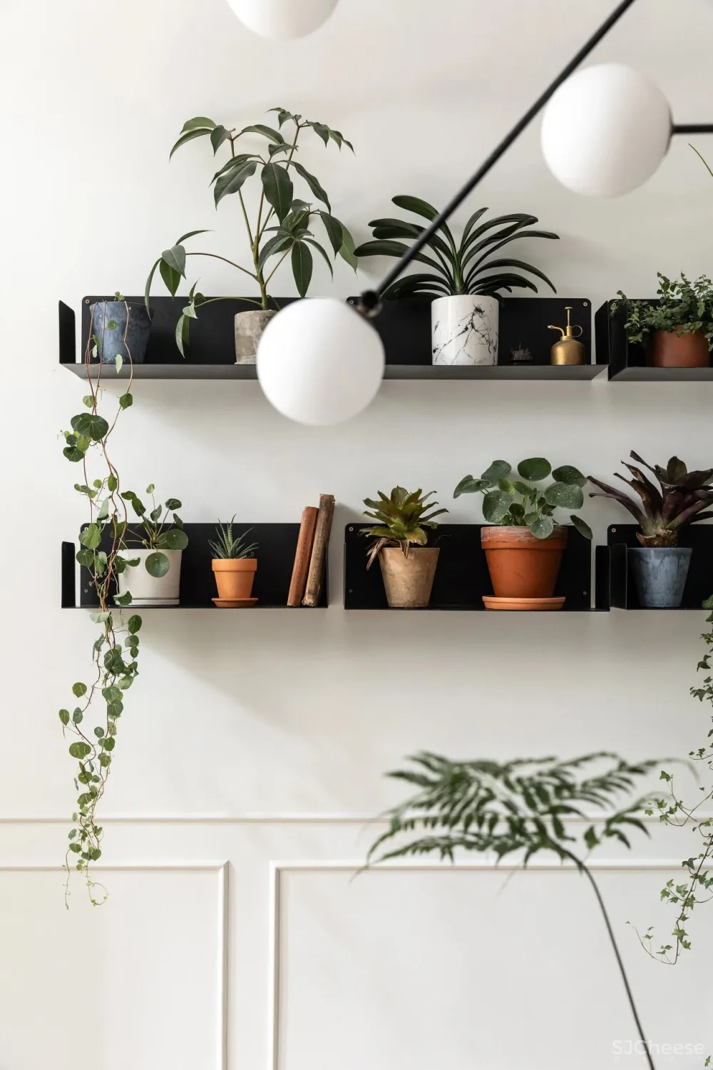 从事苗圃经营的姑娘,买下自带花园大别墅,把321m²搞成让人羡慕的植物园!