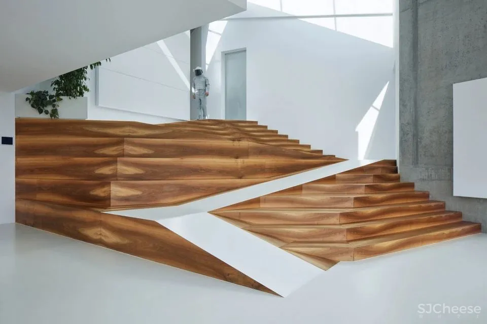 COLL COLL 一座不折不扣的功能性住宅 Sophia住宅