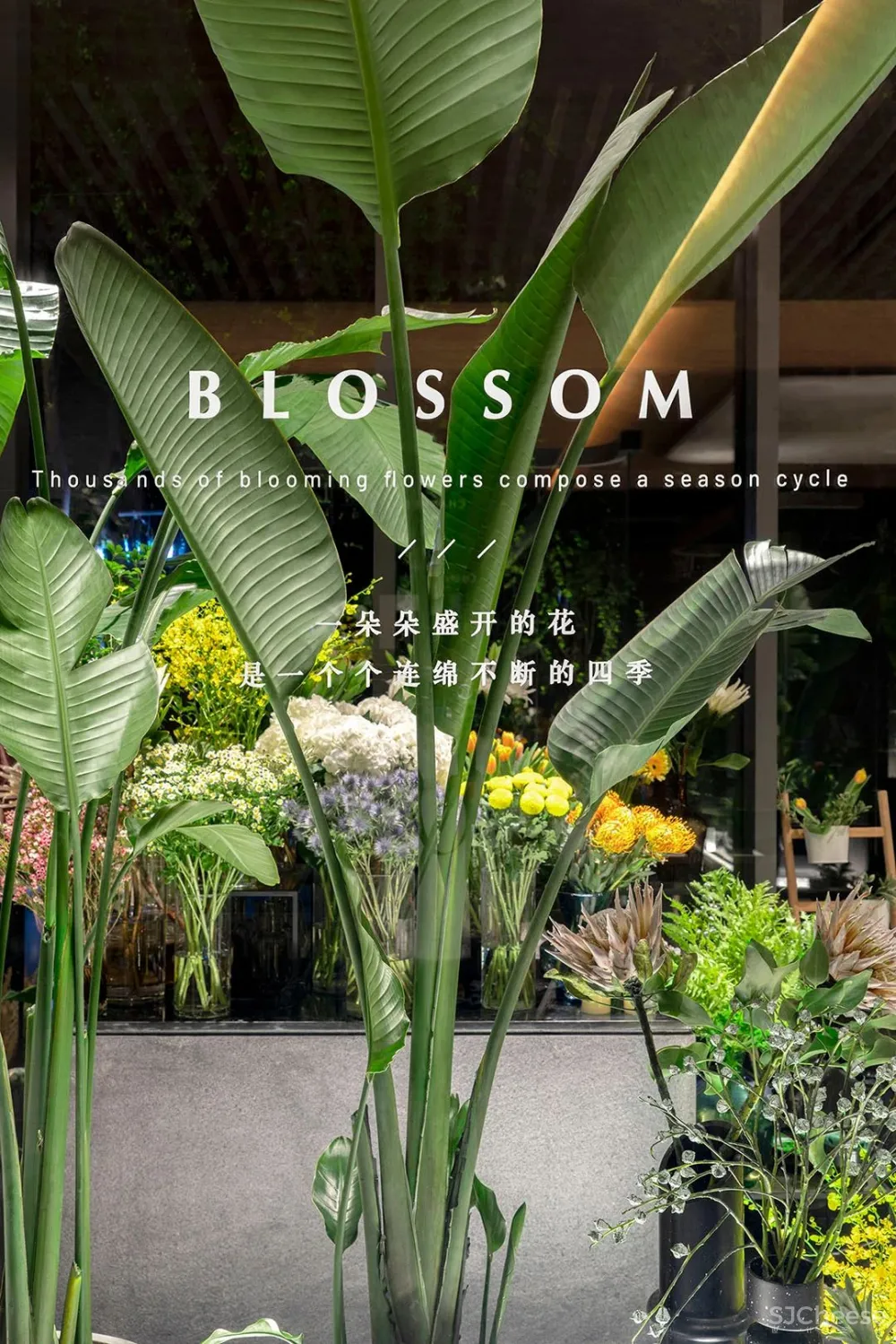 峻佳 杭州万科开了家超仙的雨林餐厅，成新晋网红地 ！