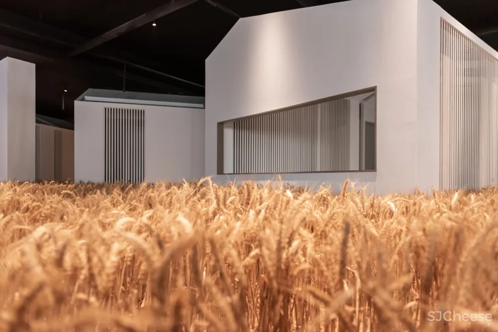 希望的田野 · 寰盟东南亚设计中心办公空间丨长空创作