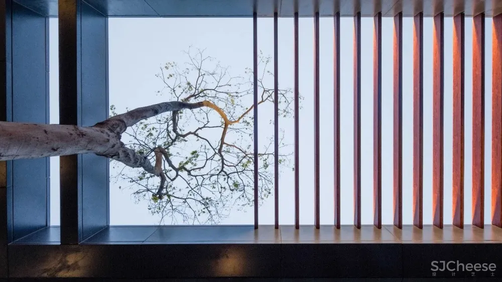 地产界“黑马” 看郑州如何引领中原豪宅新风向!