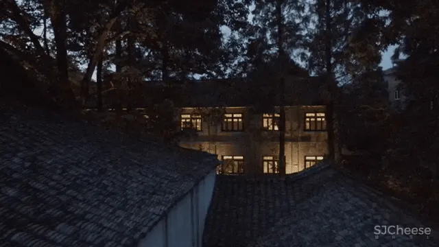 刘家琨 X 张灿 来自诗意的平行世界：境之所至，心之所向！