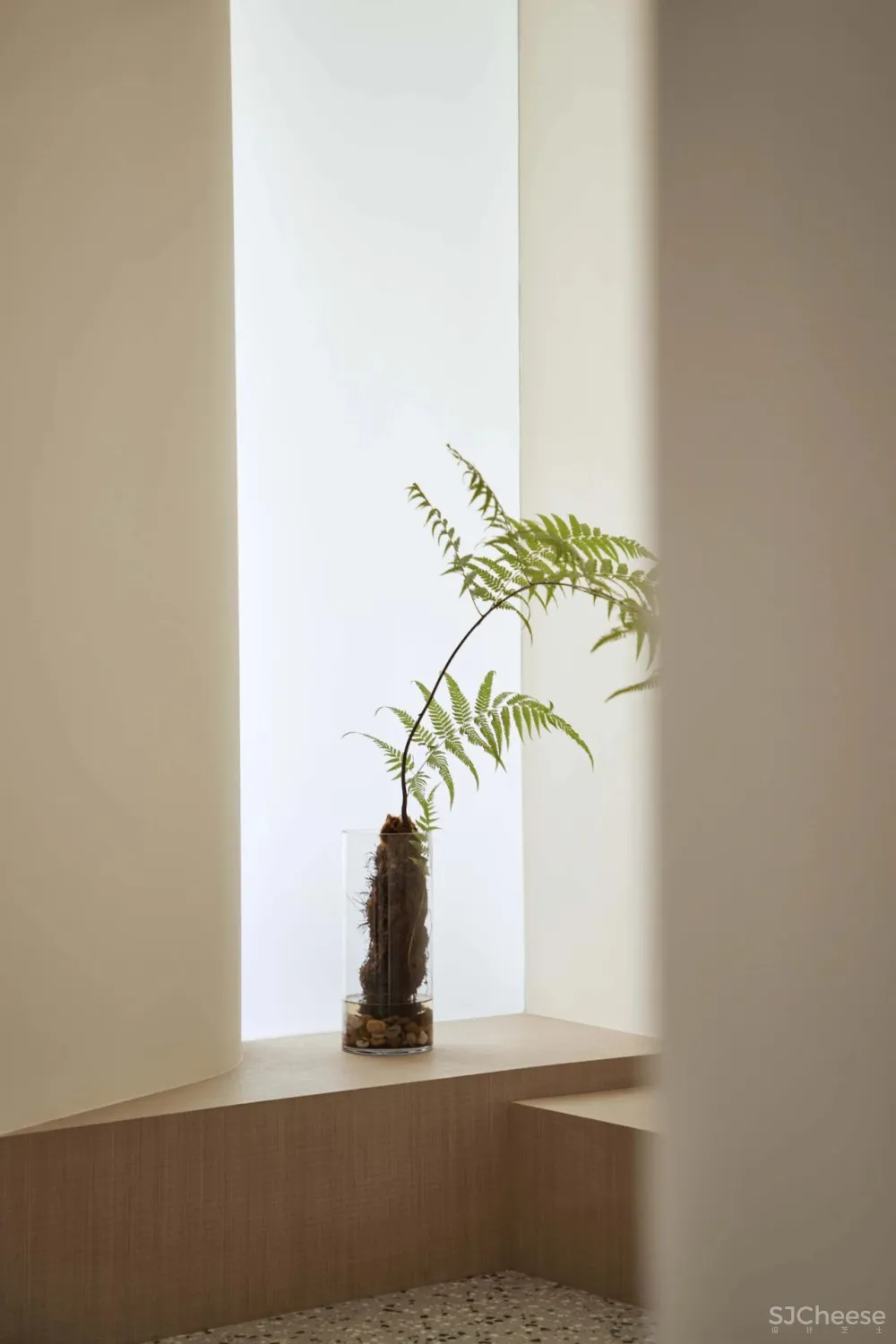 舍近设计 × 旧房改造:54㎡老学区房的逆袭故事