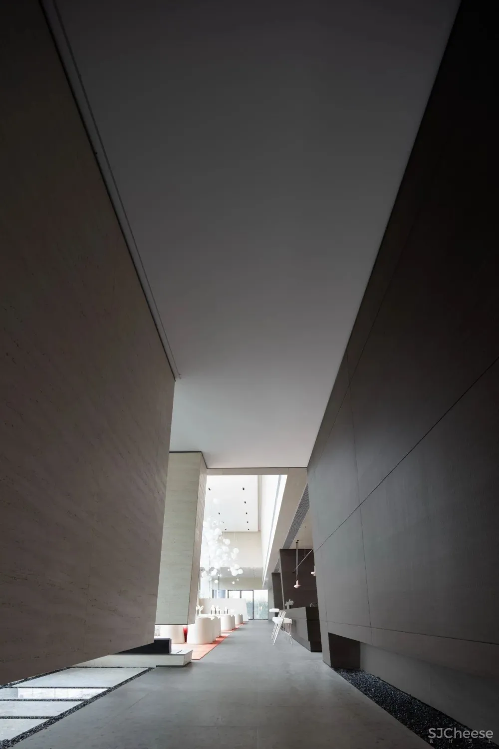 共生形态 星辰与蜉蝣