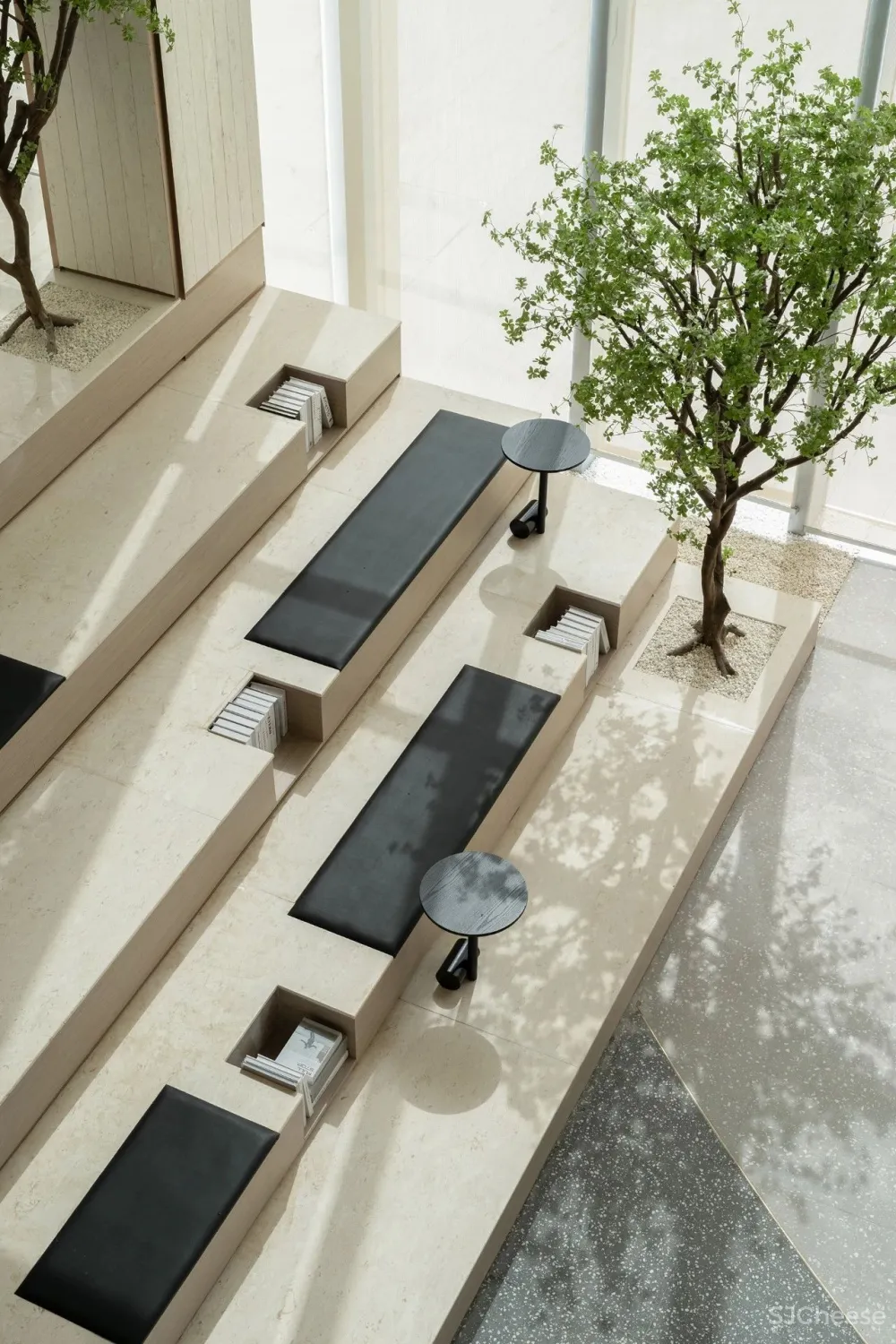 共生形态 星辰与蜉蝣