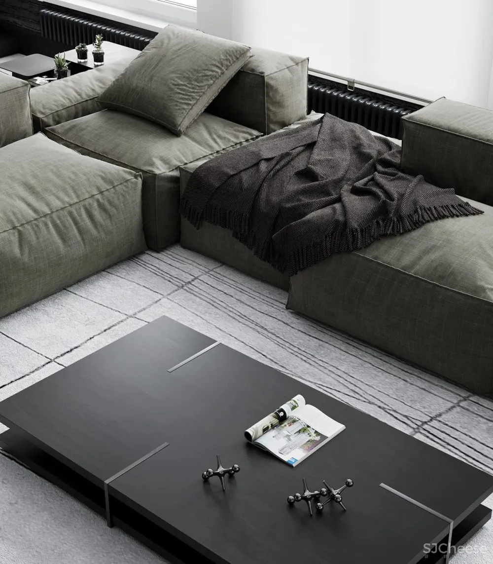 黑白色系的客厅，气质凸显 !