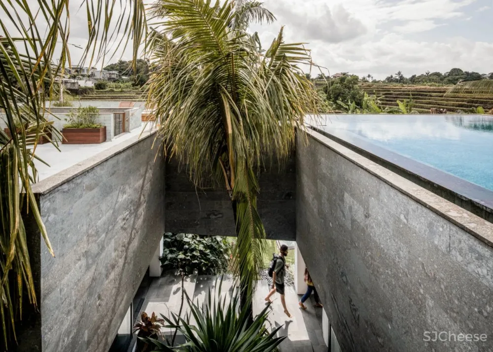 Alexis Dornier 隐匿于绿植之中 Flora住宅