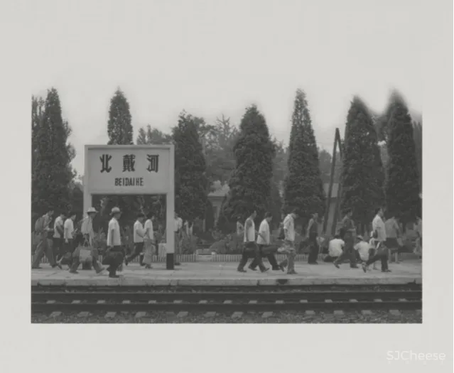 覃思新作 不是吧!这个“海边度假屋”居然是个售楼中心?