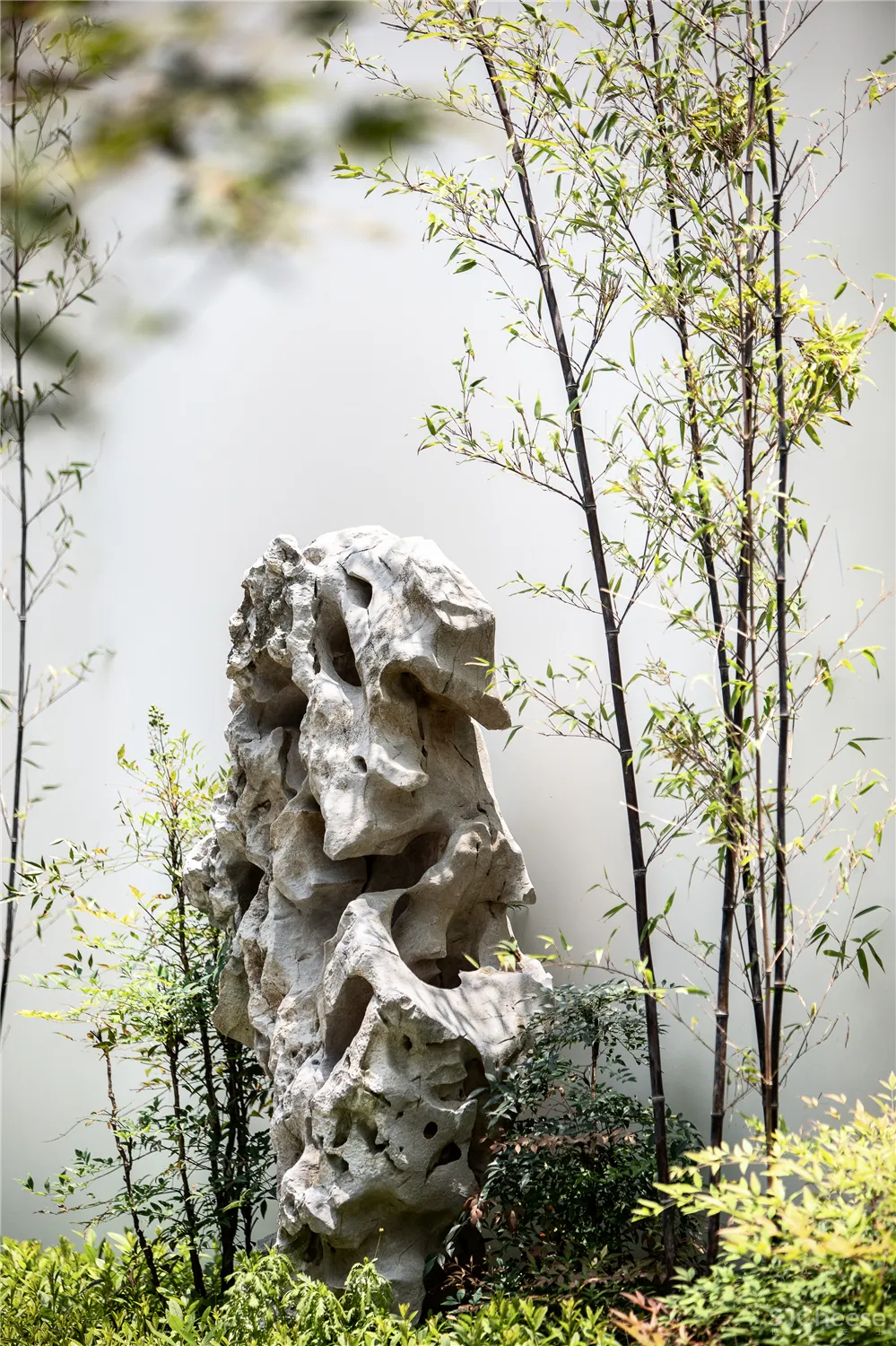 都说院子还是中国的美,这个项目再次示范中式院落如何复刻