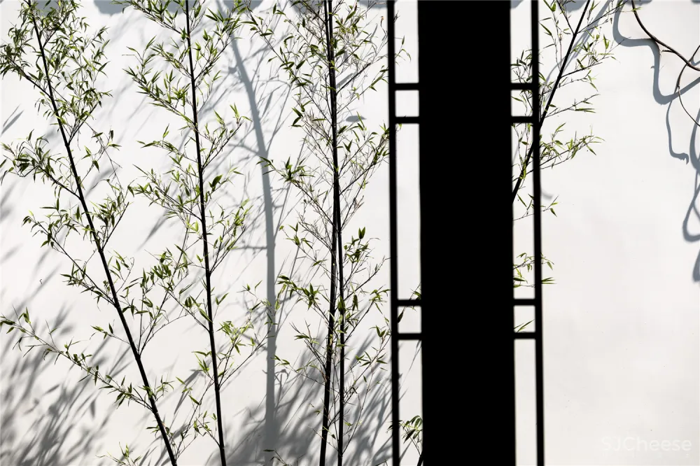 都说院子还是中国的美,这个项目再次示范中式院落如何复刻