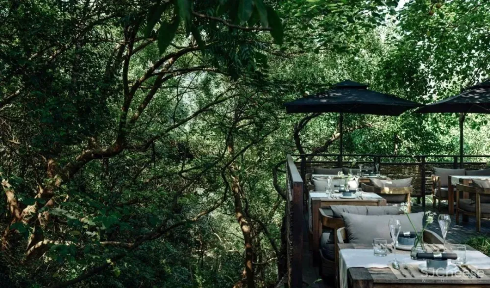 谢柯新作 杭州夕上·虎跑1934酒店—将山光树影嵌在岁月里