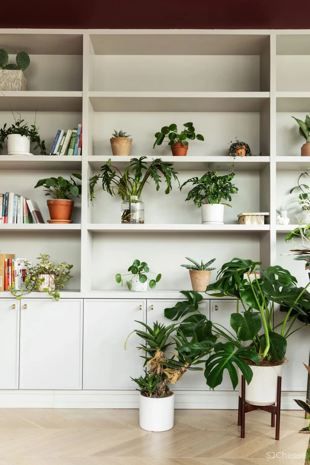 从事苗圃经营的姑娘,买下自带花园大别墅,把321m²搞成让人羡慕的植物园!