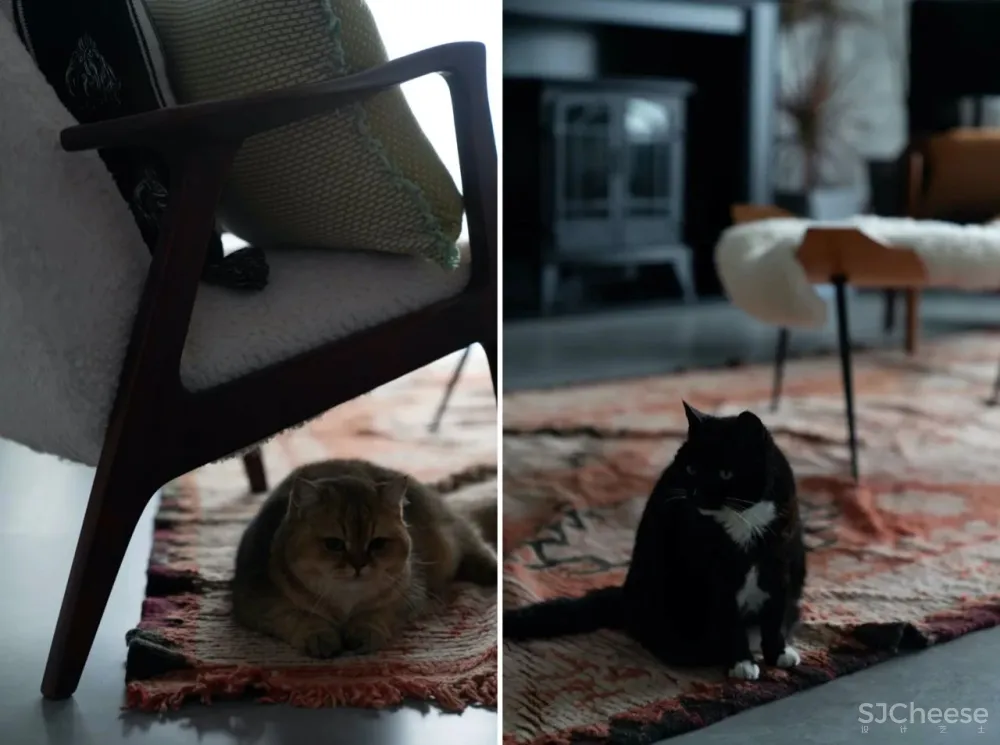 2人居的217㎡复古大宅,其中200㎡给7只猫住?