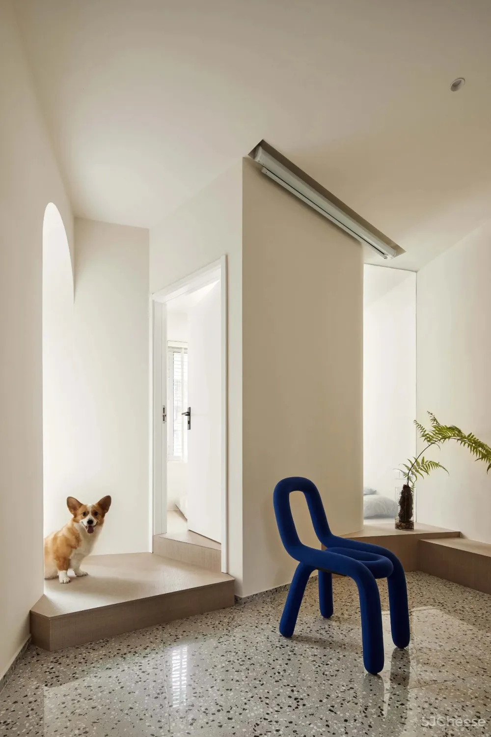 舍近设计 × 旧房改造:54㎡老学区房的逆袭故事