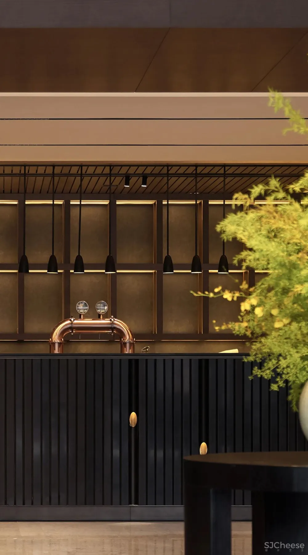 孙建亚 绝美江南画境的馥芳园