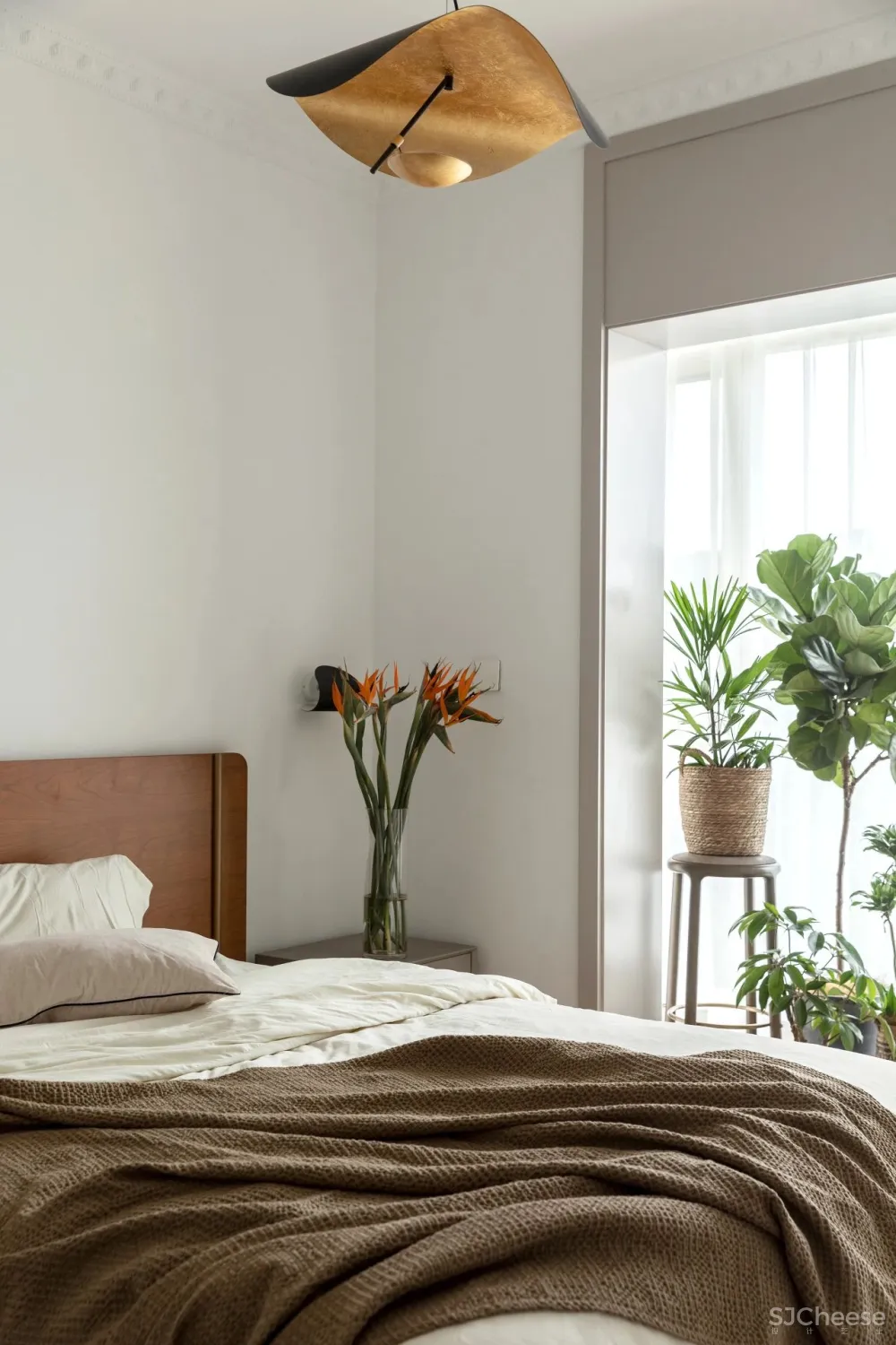 从事苗圃经营的姑娘,买下自带花园大别墅,把321m²搞成让人羡慕的植物园!