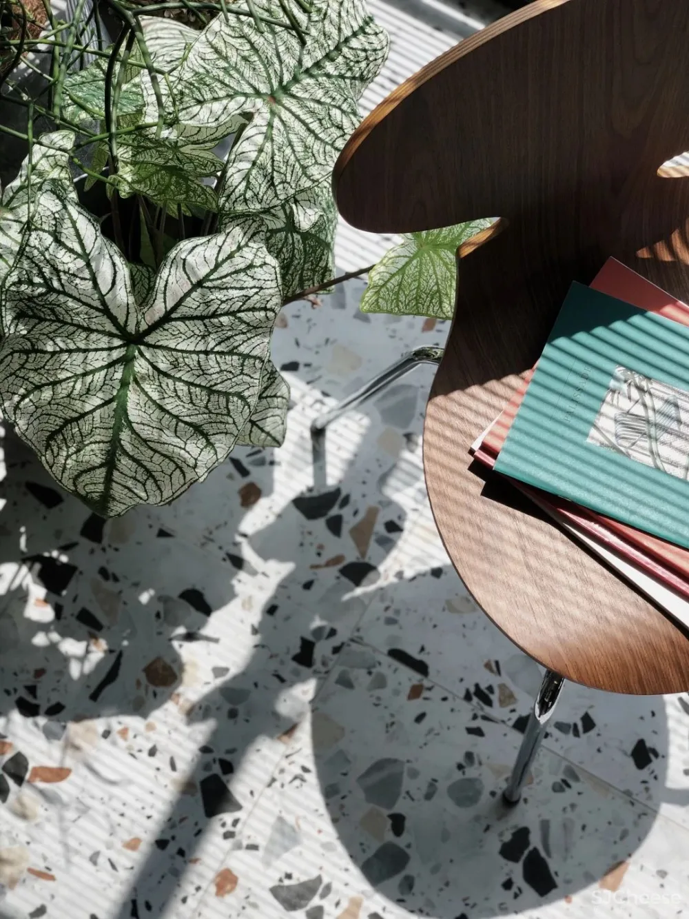 80后丁克夫妻的100㎡两室，颜值美炸！花砖、绿植，住-租一体，还有两狗子……