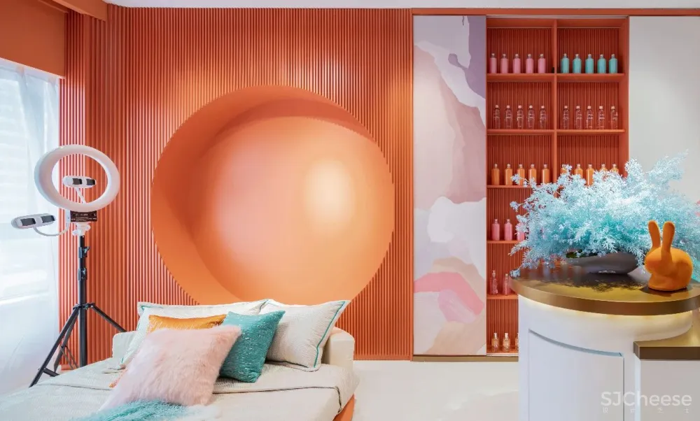 一个高品质的多功能美学空间