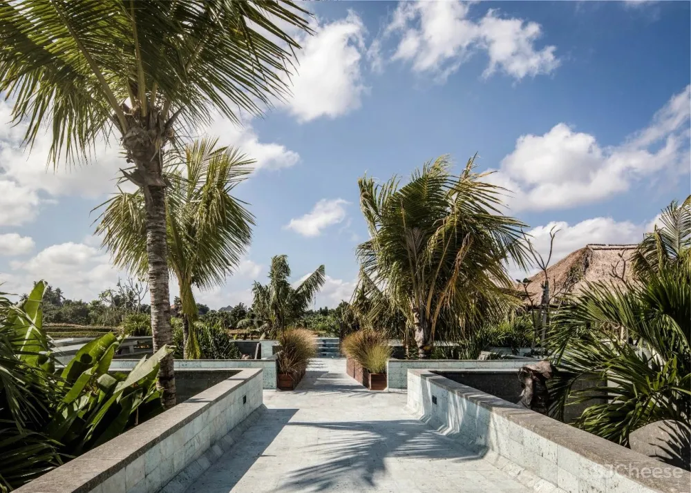 Alexis Dornier 隐匿于绿植之中 Flora住宅