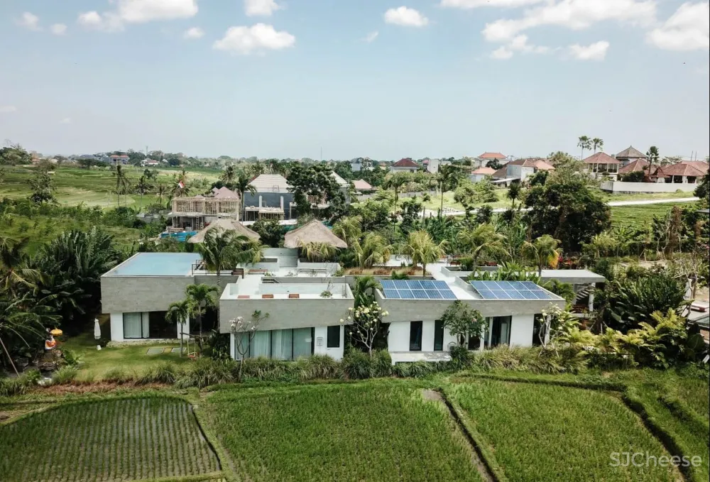 Alexis Dornier 隐匿于绿植之中 Flora住宅