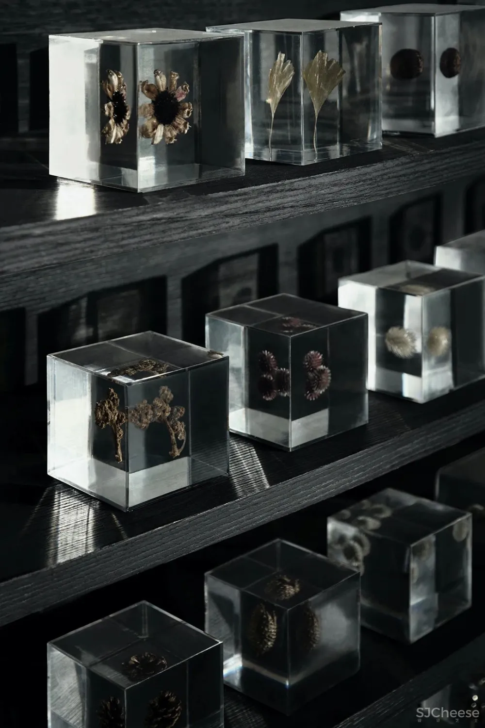 PONE普利策 万物几何,解构野性的诗意