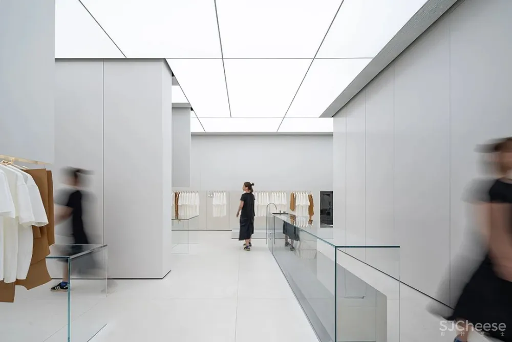 DOMANI 东 仓 白 · ZS Lab