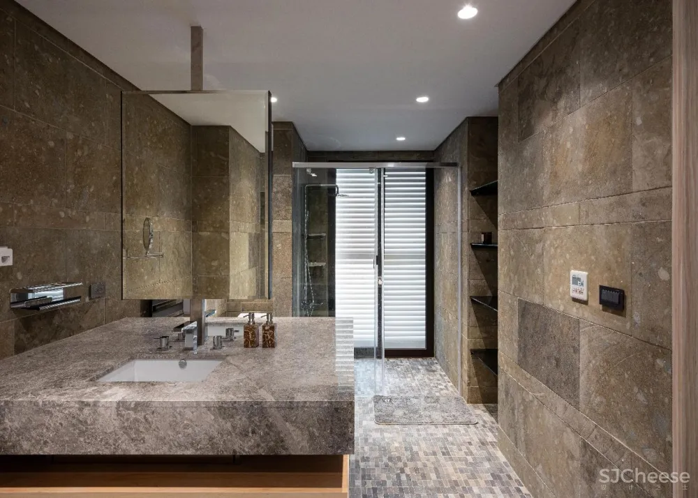 王中丞先生新作 浮光掠影