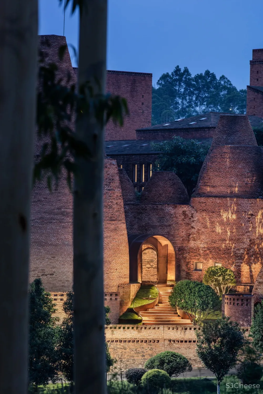 CCD 半朵雲遊天地間