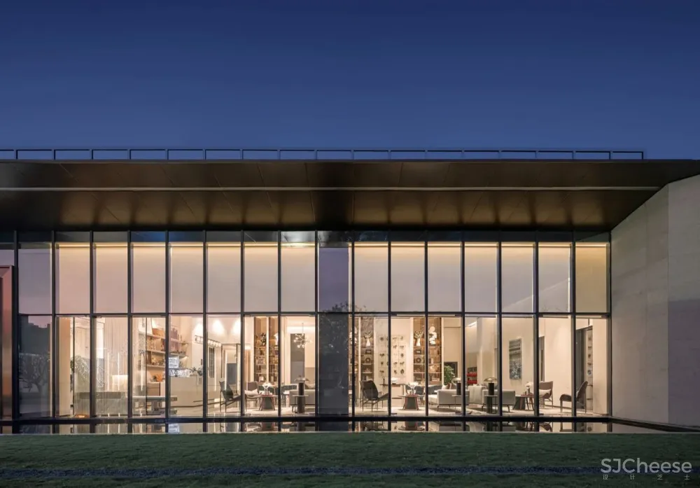 光影下的自然之舞，别具一格的清丽灵动！