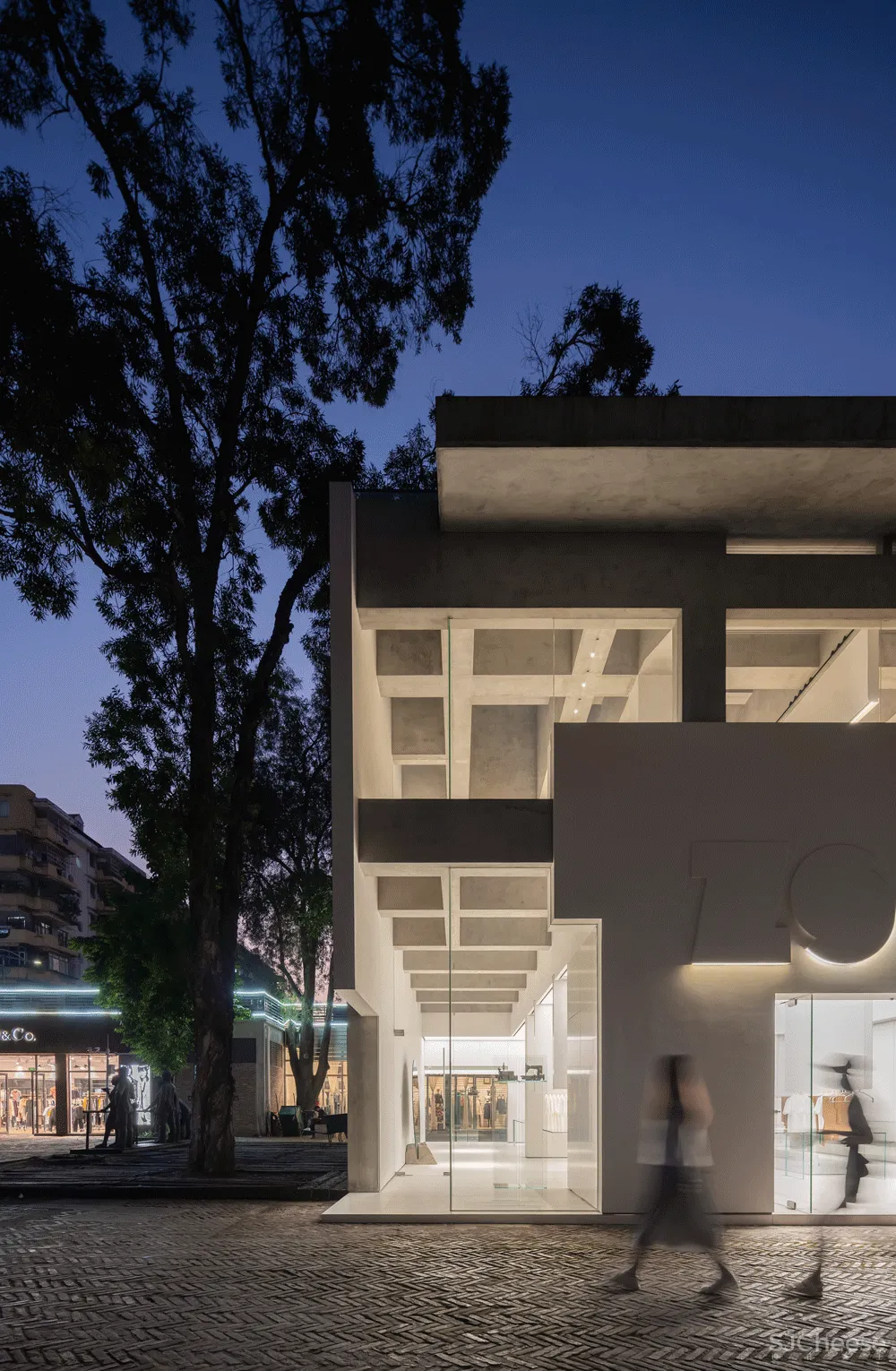 DOMANI 东 仓 白 · ZS Lab