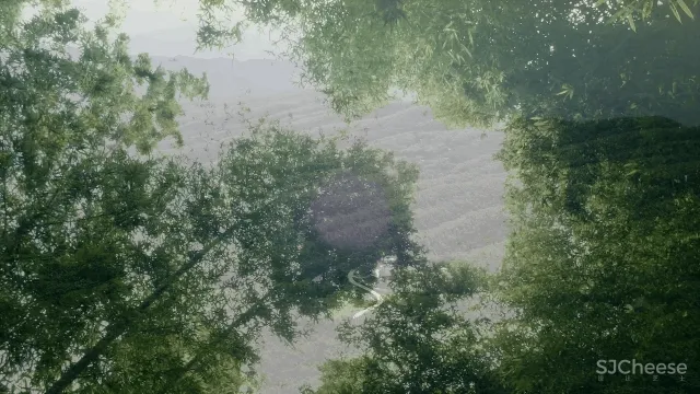 杨永铨 × 拾捨 · 竹里馆:以竹为“筑”